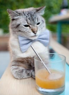 运动行为数据跨平台共享机制与隐私保护对策，运动健康数据共享在哪里