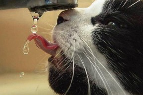 开云首页登录-“天府新区沙滩合球赛场，极限运动新选择”