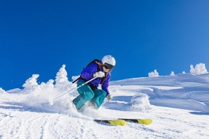 开云官网APP下载-南非赢得漂亮，稳得像老手，南非南非