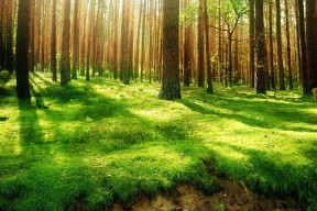 KAIYUNAPP-国家攀岩队训练注重动作连贯与节奏掌控，攀岩专项训练