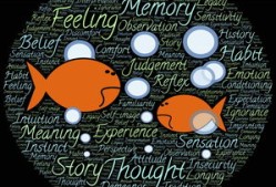 kaiyun.com-NBA球员情绪控制能力与技术犯规关系分析，nba2k情绪属性有什么用