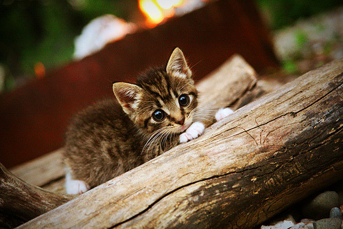 国际热身赛U23国足夺冠 球迷高呼荣耀归来，6月2日国足热身